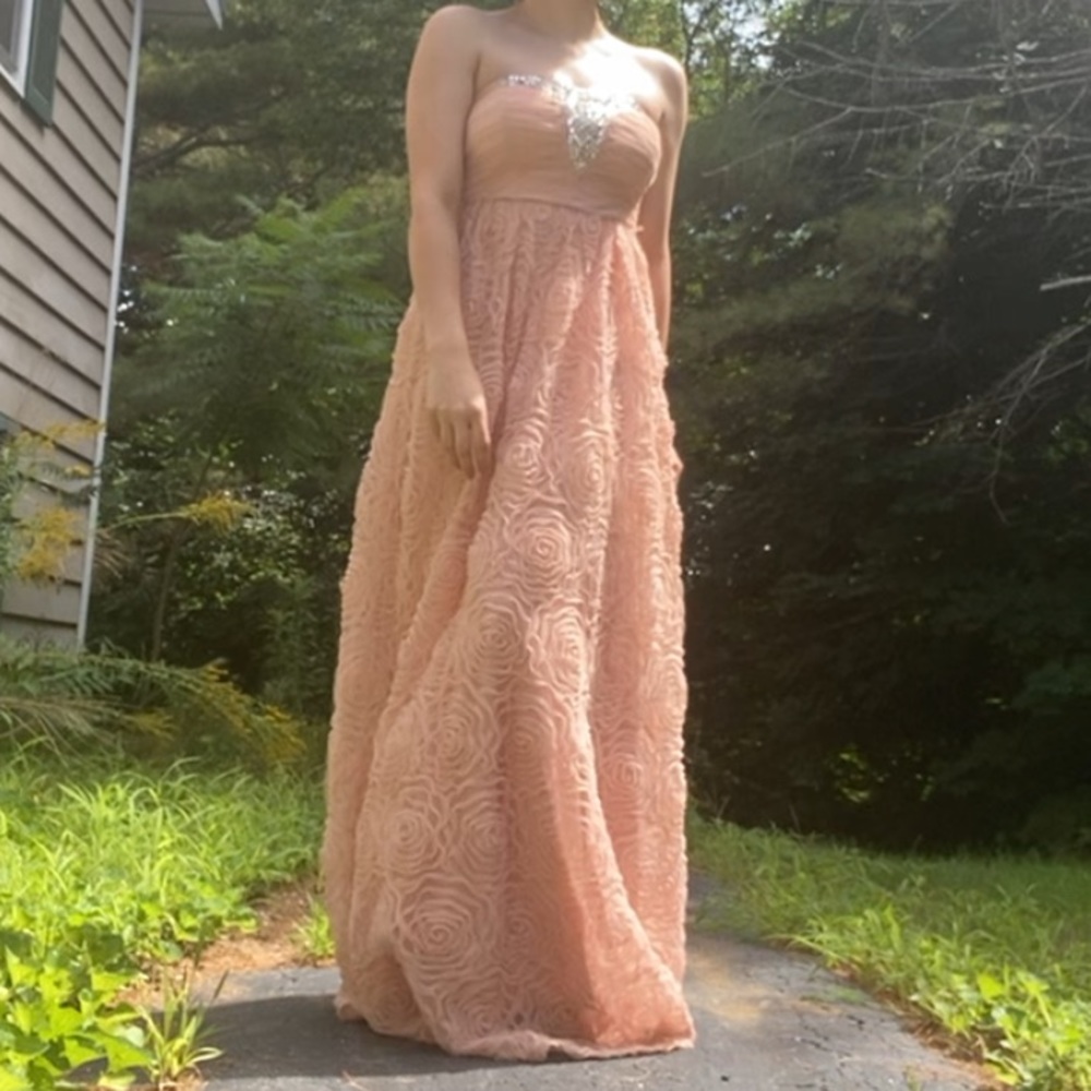 Champagne rose dress